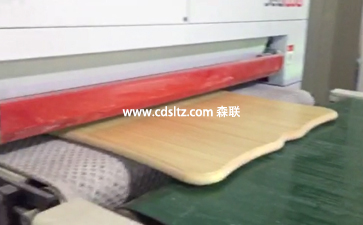 實(shí)木家具UV滾涂生產(chǎn)線砂光UV底漆清除粉塵.jpg 實(shí)木家具UV滾涂生產(chǎn)線砂光UV底漆清除粉塵.jpg